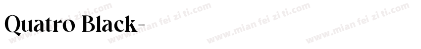 Quatro Black字体转换